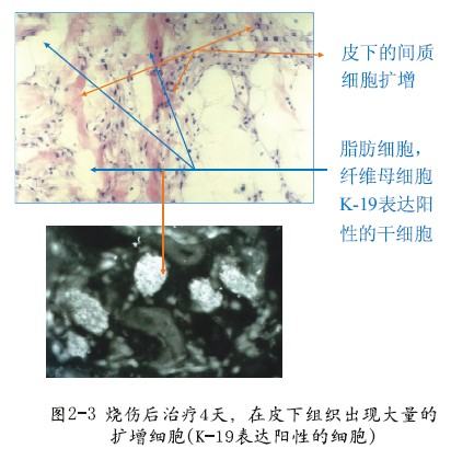 威客电竞(vkgame)-为竞技而生