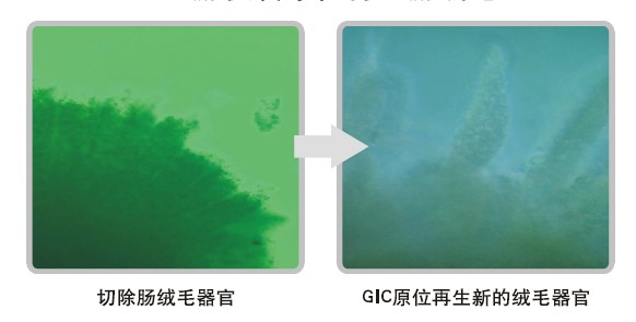 威客电竞(vkgame)-为竞技而生