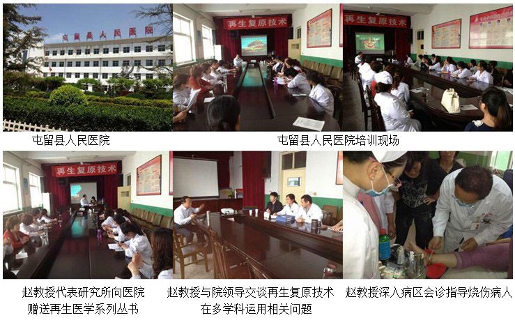 威客电竞(vkgame)-为竞技而生