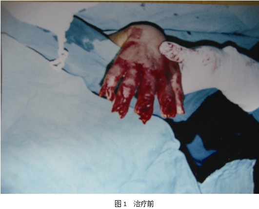 威客电竞(vkgame)-为竞技而生