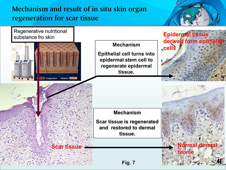 威客电竞(vkgame)-为竞技而生