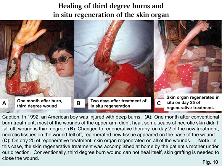 威客电竞(vkgame)-为竞技而生