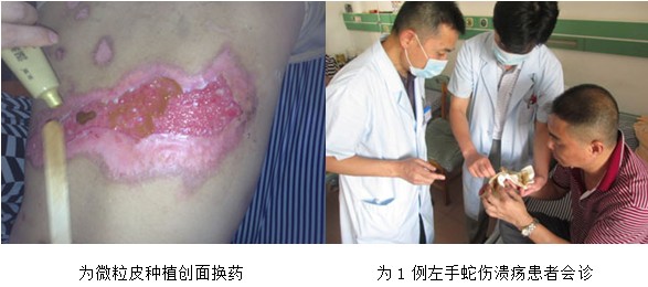 威客电竞(vkgame)-为竞技而生