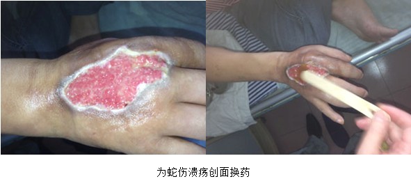 威客电竞(vkgame)-为竞技而生