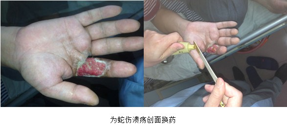 威客电竞(vkgame)-为竞技而生