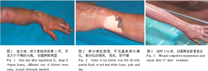 威客电竞(vkgame)-为竞技而生