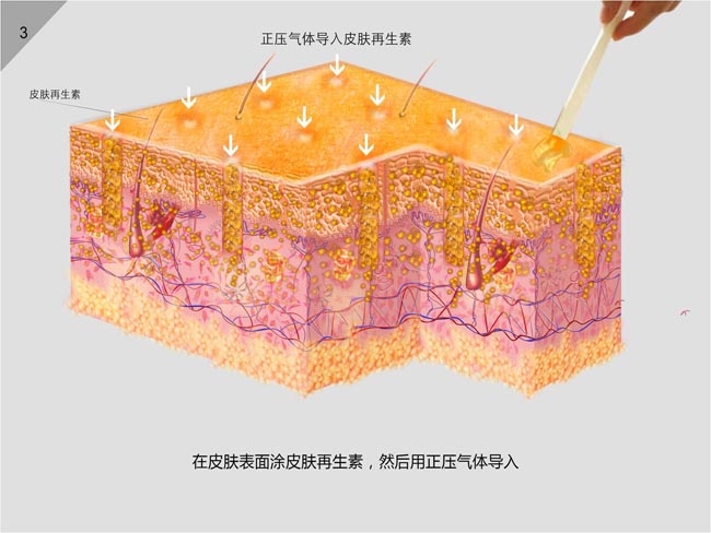 威客电竞(vkgame)-为竞技而生