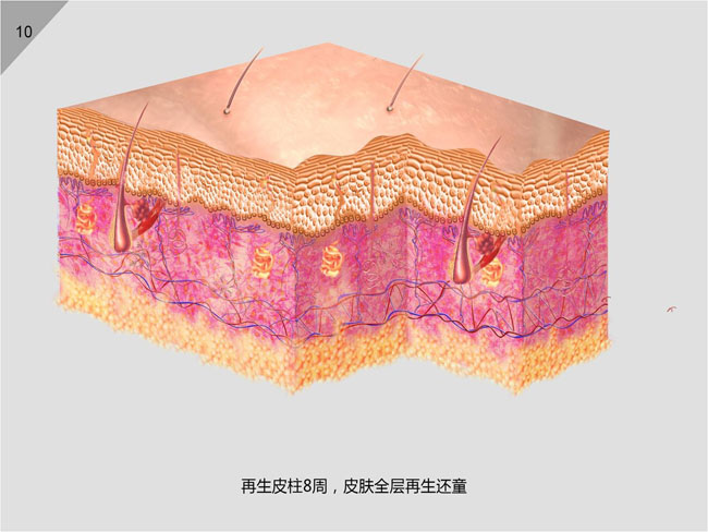 威客电竞(vkgame)-为竞技而生