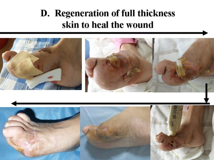 威客电竞(vkgame)-为竞技而生