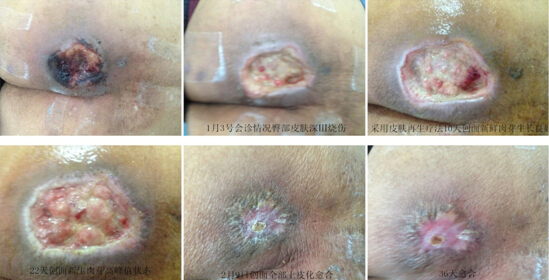 威客电竞(vkgame)-为竞技而生