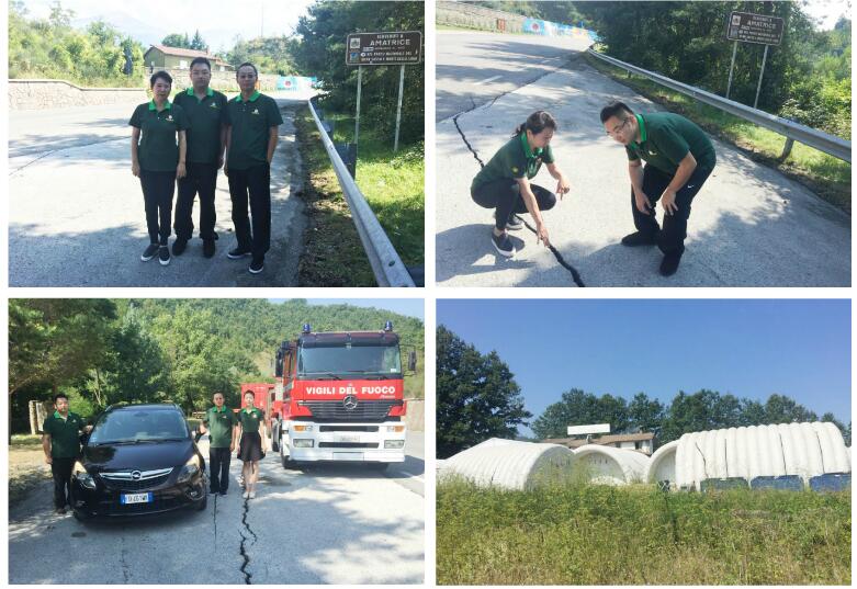 威客电竞(vkgame)-为竞技而生