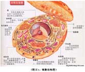 威客电竞(vkgame)-为竞技而生